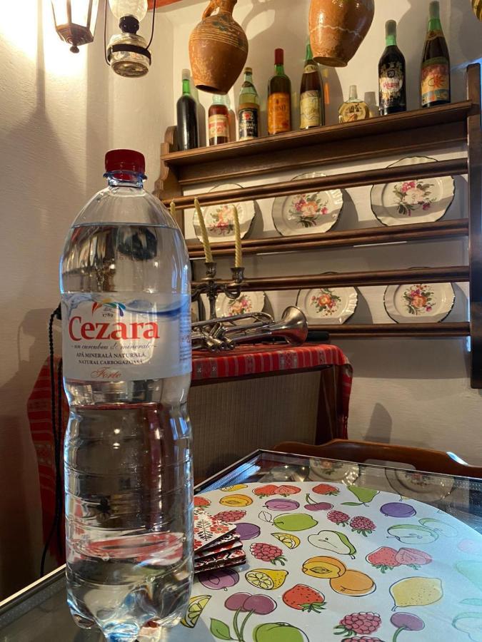 Silvasu de JosCasa Cezara公寓 外观 照片
